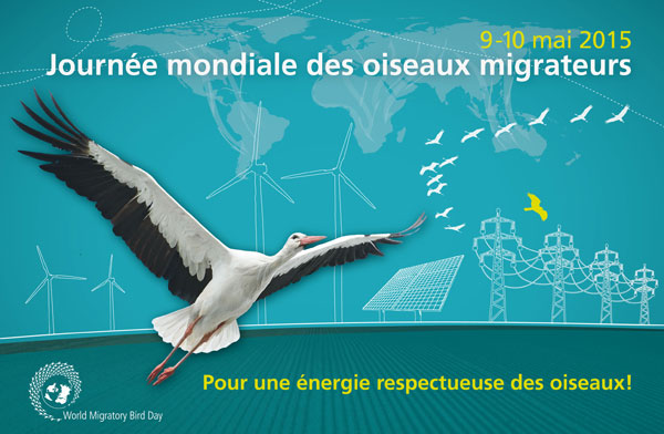 Journée mondiale des oiseaux migrateurs