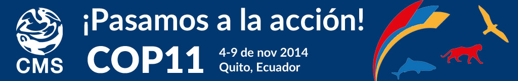 COP11 banner