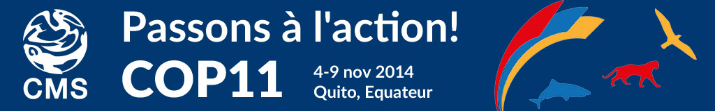 COP11 banner